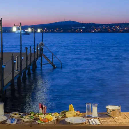 Bacacan Ayvalı